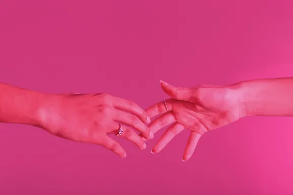 Iwild Cazinou Suport